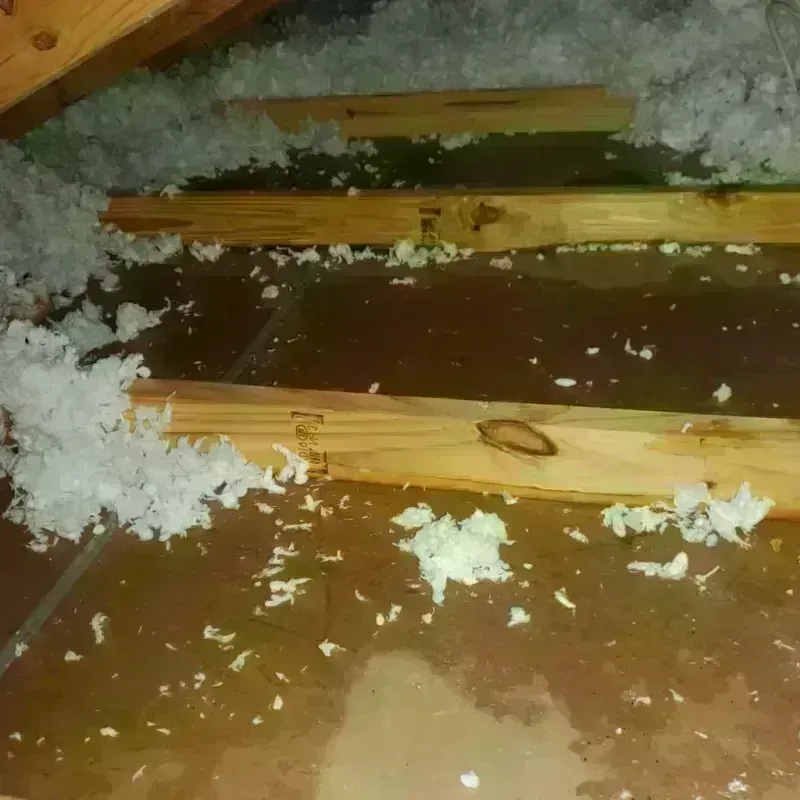 Attic Water Damage in Baldwin, WI