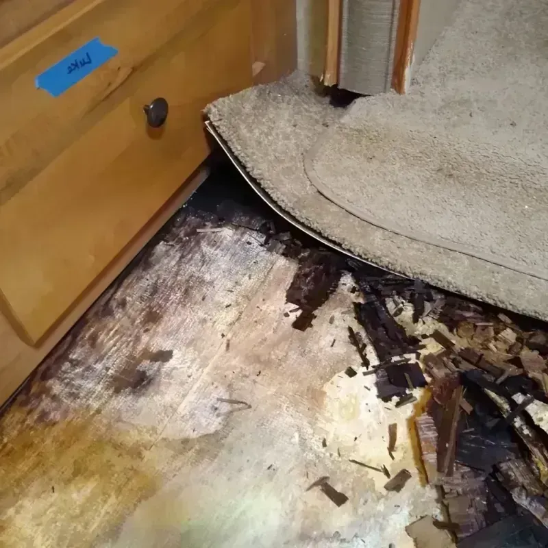 Wood Floor Water Damage in Baldwin, WI